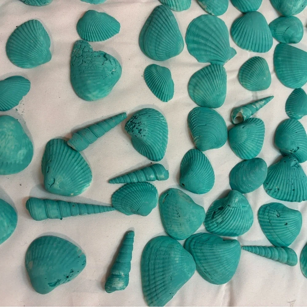 161 Aqua Teal Painted Real Seashells For Decorating Or Center Pieces